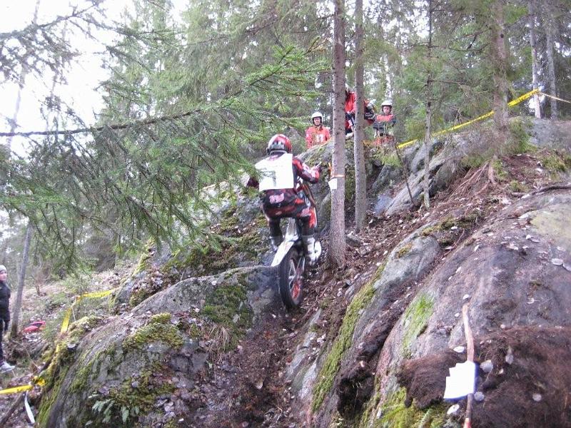 Palvi 18.04.10 050.jpg